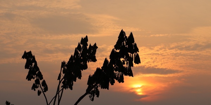 Pengobatan dengan Mengundang Arwah