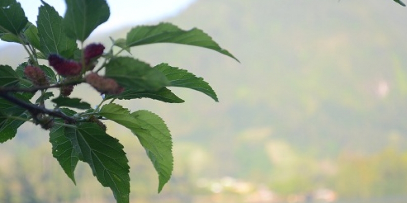 Ada Bercak Darah, Apakah Faktor KB?