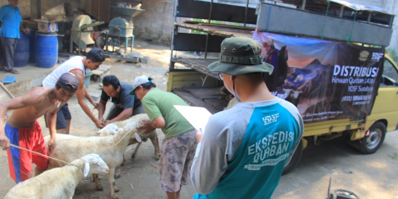 Kisah Qurban di Kawasan Minoritas Muslim | YDSF