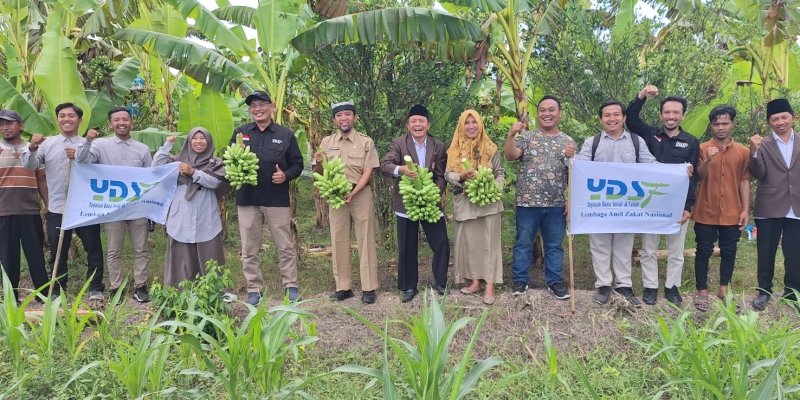 YDSF Panen Pisang Program Zakat Produktif